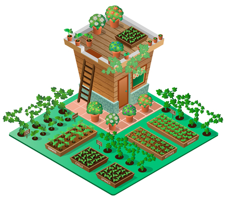 Garden in spring. Garden house with seedlings and flowers. 3d isometric view. Vector illustration.のイラスト素材