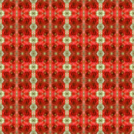 Floral seamless pattern with red roses.の写真素材