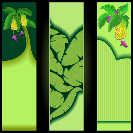 Banana and palm tree. Wide Skyscraper. Collection of tropical banners. Vector illustration.のイラスト素材