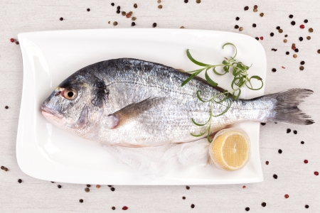 Mediterranean seafood concept  Sea bream on white plate with fresh herbs and colorful peppercorns on white background  Luxurious fish eating  の写真素材