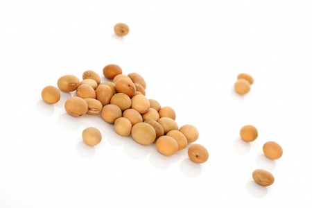 Soybeans isolated on white background  Vegetarian and vegan eating concept の写真素材