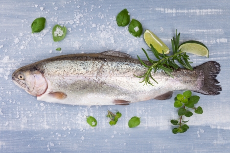 Fresh trout with sea salt, lime, rosemary and fresh basil leaves on blue and white wooden background, top view  Luxurious mediterranean seafood background の写真素材