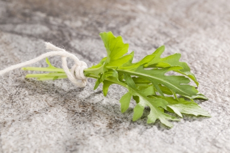 Fresh arugula on stone background. Aromatic culinary pot herbs.の写真素材