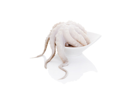 Fresh octopus in white bowl isolated on white background. Culinary seafood eating.の写真素材
