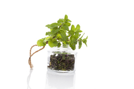 Fresh mint and dry mint spice in glass jar isolated on white backgroundの写真素材
