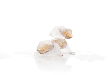 Frozen money. Euro coins frozen in ice cubes isolated on white background.  の写真素材