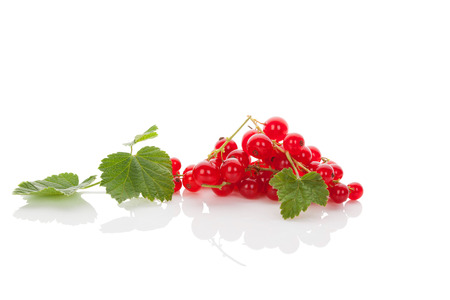Ripe red currant isolated on white background.  の写真素材