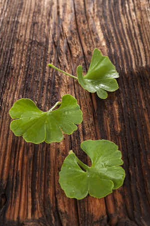 Fresh ginkgo biloba leaves on brown wooden textured backgroundの写真素材