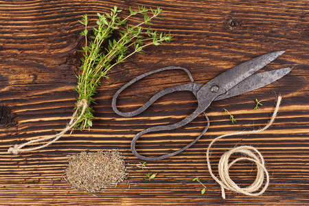 Fresh and dry thyme herb with vintage scissors on rustic wooden backgroundの写真素材