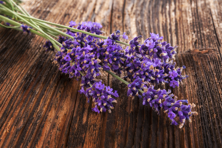 Lavender on brown aged wooden backgroundの写真素材