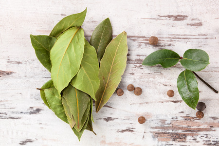 Dry bay leaves on white wooden textured background. Culinary herb, cooking ingredient and medical...