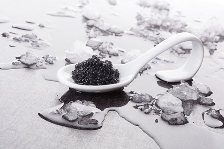 Black caviar on white spoon on ice. Luxurious culinary delicacy, traditional russian black caviar.の写真素材