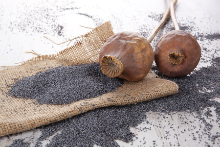 Dry poppy heads and seeds on white wooden background.の写真素材
