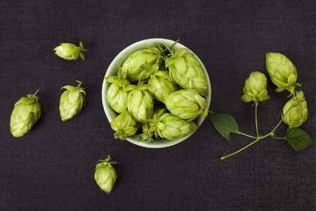 Hop fruit in bowl on black concrete background from above.の写真素材