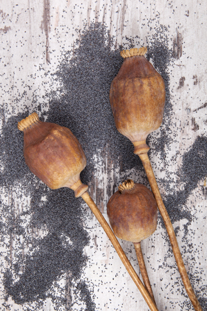 Dry poppy heads and ripe poppy seeds on wooden background.の写真素材