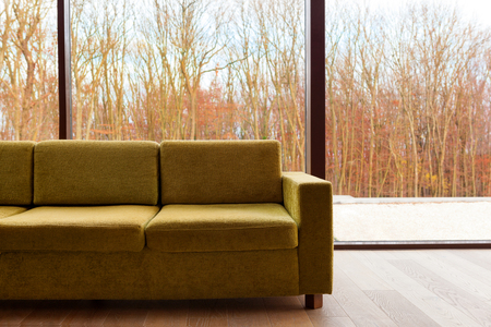 Green modern couch against glass wall with autumn trees. Modern trendy living desing.の写真素材