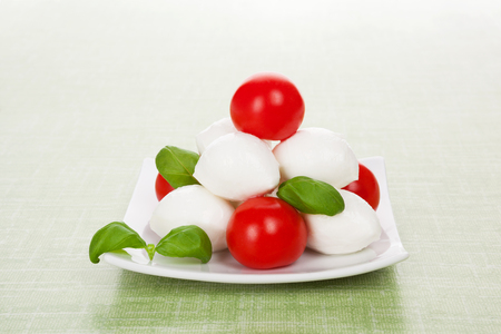 Mozzarella cheese with tomatoes and fresh basil on fresh green background. Caprese minimal style.の写真素材