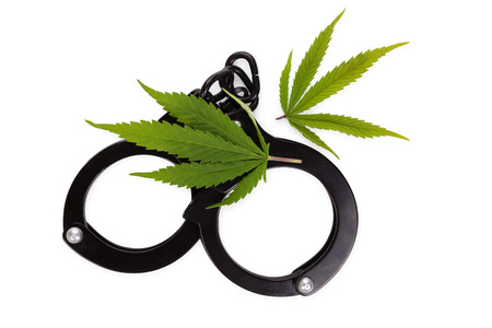 Marijuana leaves and handcuffs isolated on white background, illegal drug.の写真素材