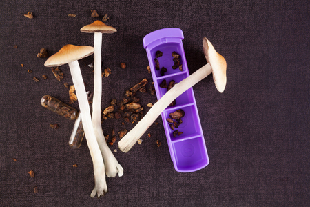 Fresh and dried psilocybin magic mushrooms on black surface, top view. Alternative medicine. Microdosing.の写真素材