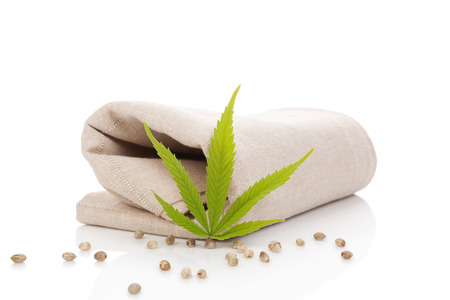 Hemp cloth production, cloth with cannabis leaf and seeds, isolated on white background.の写真素材