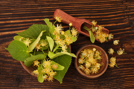 Linden flowers and leaves  in wooden spoon and bowl on wooden table from above. Herbal medicine. Tilia.の写真素材