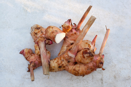 Galangal root from above on white concrete background. Culinary asian herb.の写真素材