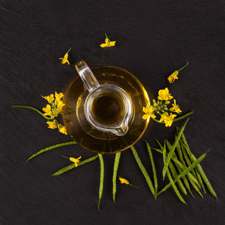 Rapessed flower and fruit and oil on dark background from above. の写真素材