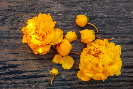 Yellow silk cotton tree flowers on wooden table from above.の写真素材