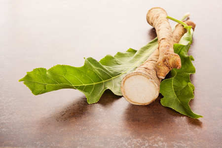 Fresh horseradish root and leaves.の写真素材