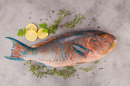 Colorful tropical parrotfish with herbs and lemons on old grey backbround from above. Delicious fish eating.の写真素材
