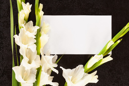 Gladioli flowers with white card from above. Obituary or death notice concept.の写真素材