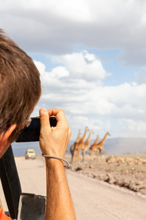 Tourist photographing wildlife in serengeti national park from car. Safari.の写真素材