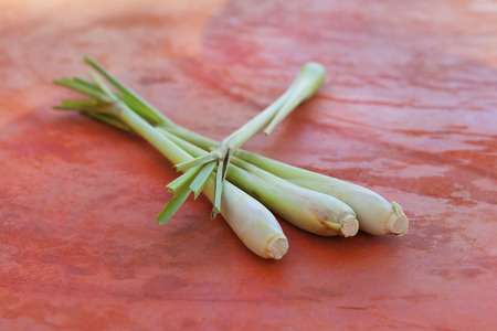 Cymbopogon. Thai home-grown vegetable, backyard garden product Lemongrass.の写真素材