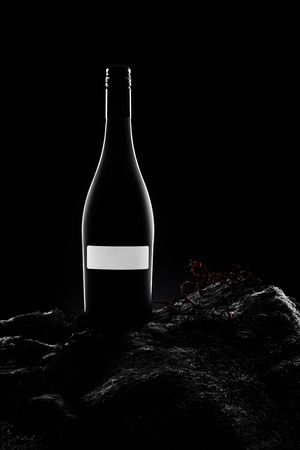 Wine bottle silhouette with blank label on moss. Dramatic light.の写真素材