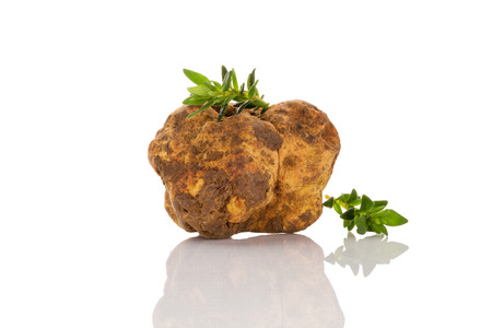 Whole white truffles with herbs isolated on white background. Luxurious culinary cooking ingredients.の写真素材