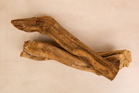 Banisteriopsis caapi wood, traditional visionary medicine Ayahuasca.の写真素材