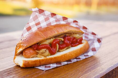 American hot dog sandwich with sausage, onion and sauce. Takeaway food.の写真素材