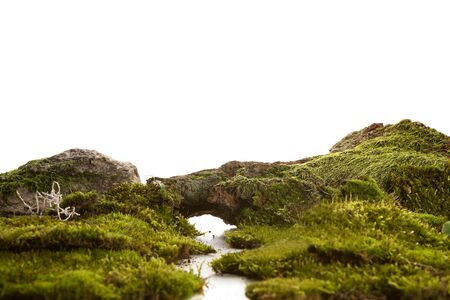 Surreal landscape with wooly moss on white background. Beautiful green cliff and material detail.の写真素材