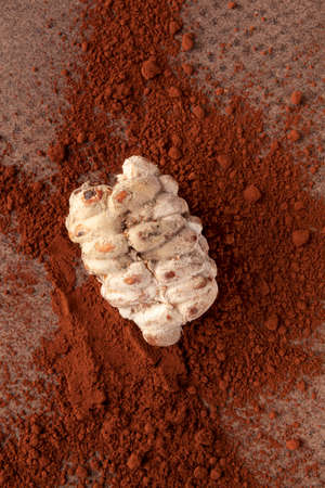Raw cocoa beans and powder top view. Supplement, superfood background.