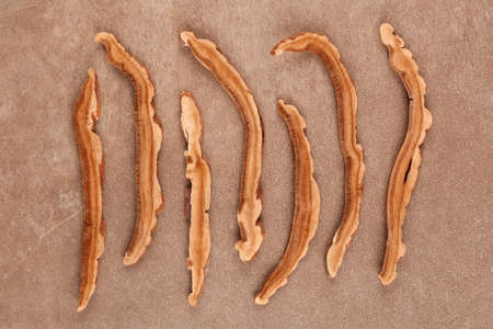 Dry reishi mushroom flat lay. Ganoderma lingzhi, medicinal mushroom.
