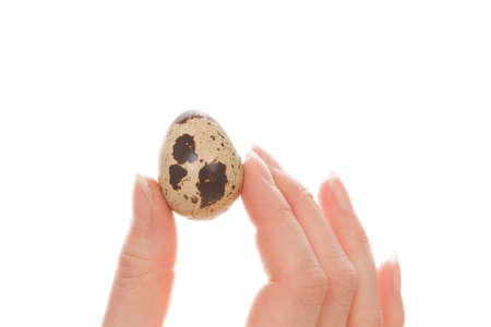 Holding a quail egg isolated on white background.の写真素材