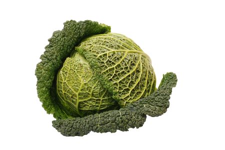 Savoy cabbage isolated on whiteの写真素材