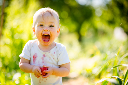 Cute joyous child with strawberry - outdoor in backyard garden on sunny dayの写真素材