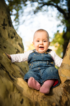 Happy baby on tree