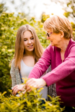 Grandmother with grandchild gardeningの写真素材
