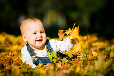 Beautiful baby crawling  in fallen leaves - autumn sceneの写真素材