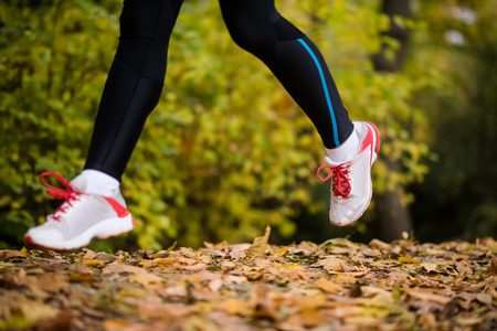 Legs of a jogger woman on dry maple leavesの写真素材