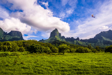 Moorea, French Polynesia: 09/03/2018: Total lanscape of the colorful main mountain in Moorea, everywhere is green and a blue skyのeditorial素材