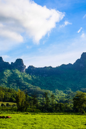 Moorea, French Polynesia: 09/03/2018: Green Park in MooreaFrench Polynesia: 09/03/2018: landscape of the mountains and the green grass in a cludy sky of Moorea, French Polynesiaのeditorial素材