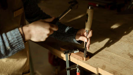 A young female carpenter working as wood designer in a small carpentry workshop. Young business woman handcrafting a piece of timber and designing new house furniture. Entrepreneurs concept lifestyle A young female carpenter working as wood designer in a small carpentry workshop. Young business woman handcrafting a piece of timber and designing new house furniture. Entrepreneurs concept lifestyle